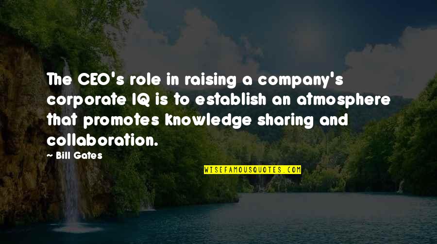 Sharing Knowledge Quotes By Bill Gates: The CEO's role in raising a company's corporate