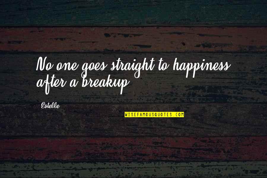 Sharing Memories With Friends Quotes By Estelle: No one goes straight to happiness after a