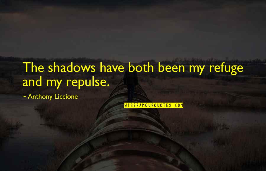 Sharing My Story Quotes By Anthony Liccione: The shadows have both been my refuge and