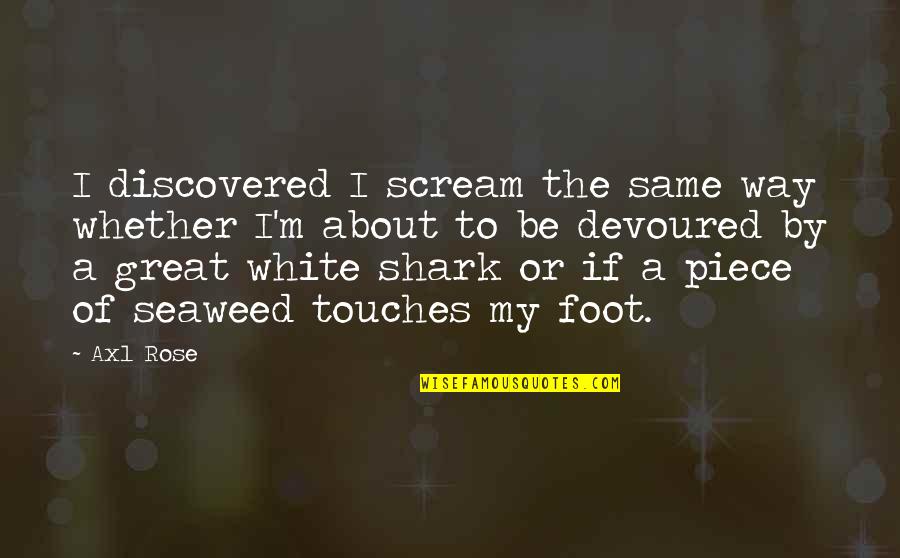 Shark Quotes By Axl Rose: I discovered I scream the same way whether