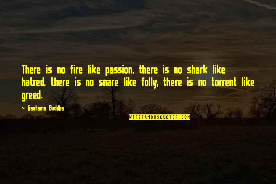 Shark Quotes By Gautama Buddha: There is no fire like passion, there is