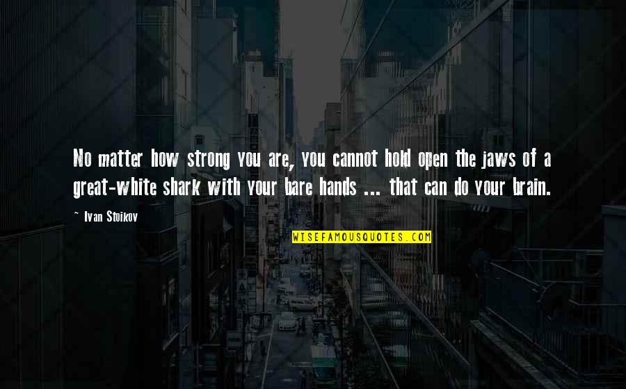 Shark Quotes By Ivan Stoikov: No matter how strong you are, you cannot