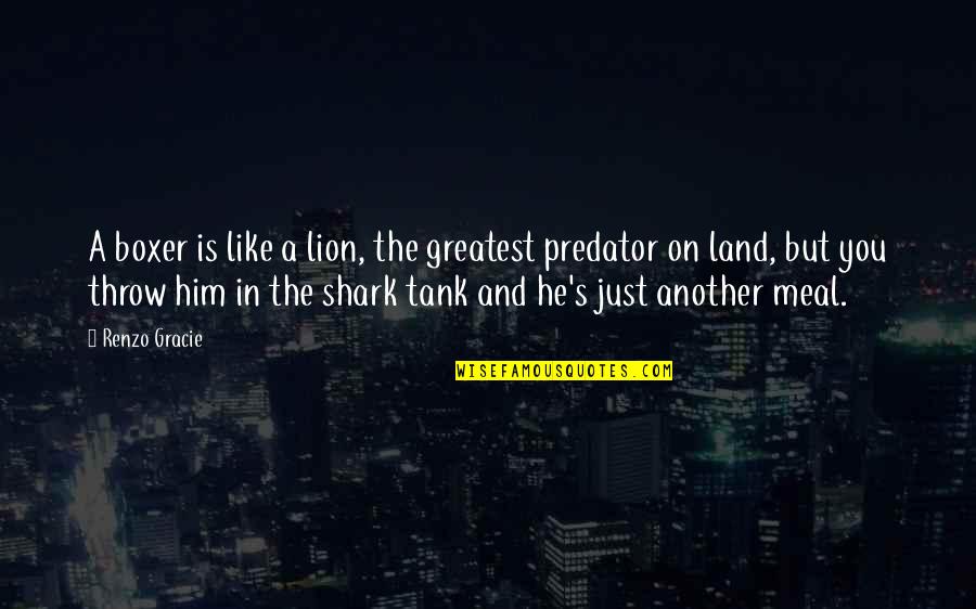 Shark Quotes By Renzo Gracie: A boxer is like a lion, the greatest