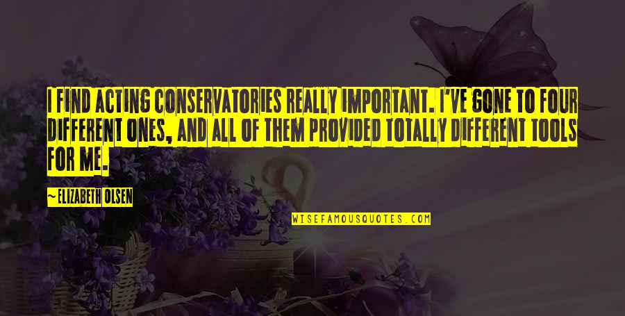 Sharlin Steron Quotes By Elizabeth Olsen: I find acting conservatories really important. I've gone Sharlin Steron Quotes By Elizabeth Olsen: I find acting conservatories really important. I've gone