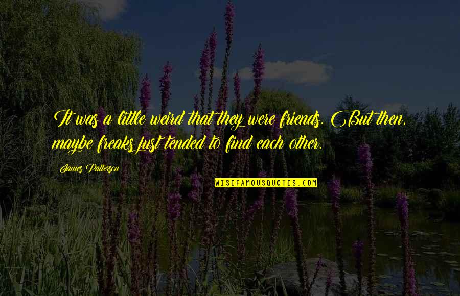 Sharmane Roland Bowen Quotes By James Patterson: It was a little weird that they were Sharmane Roland Bowen Quotes By James Patterson: It was a little weird that they were