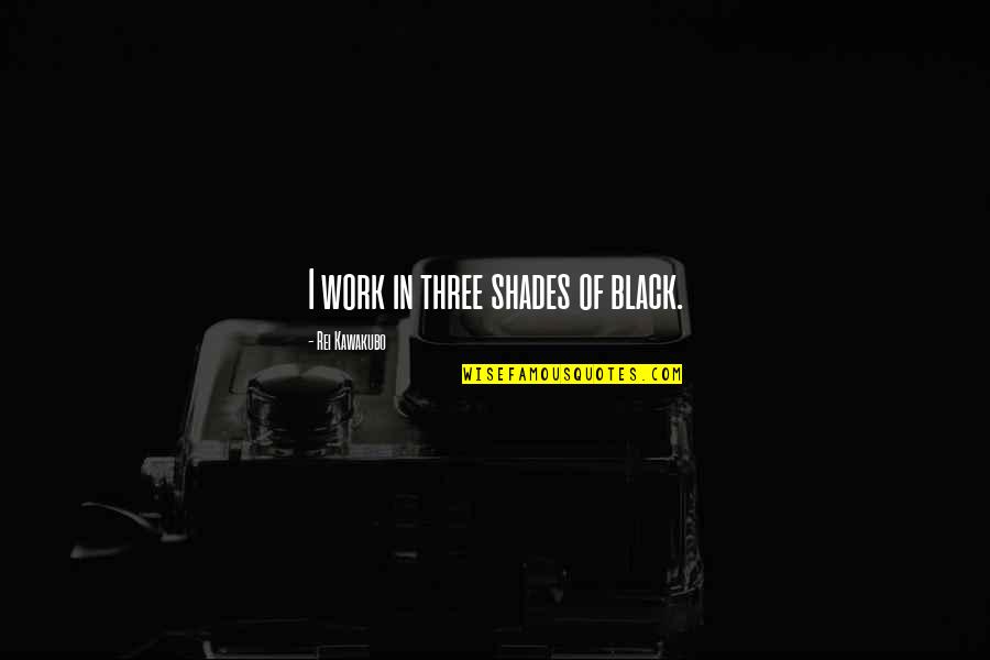 Sharomi Quotes By Rei Kawakubo: I work in three shades of black. Sharomi Quotes By Rei Kawakubo: I work in three shades of black.