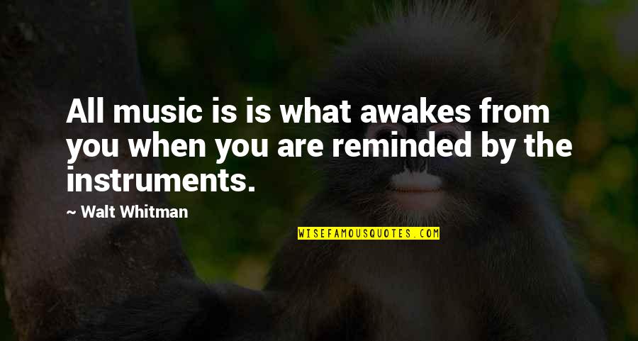 Sharomi Quotes By Walt Whitman: All music is is what awakes from you