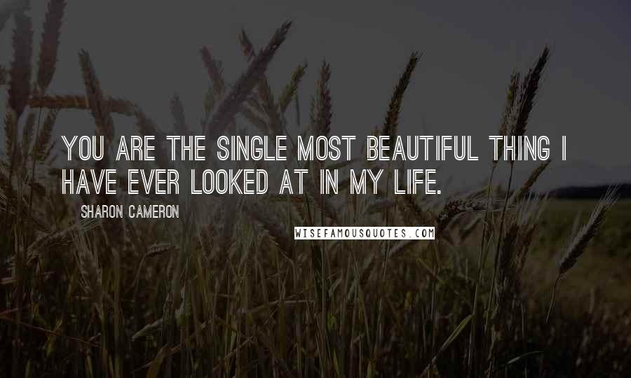 Sharon Cameron quotes: You are the single most beautiful thing I have ever looked at in my life.