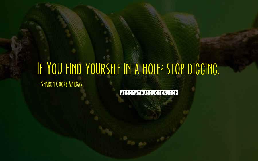 Sharon Cooke Vargas quotes: If You find yourself in a hole; stop digging.