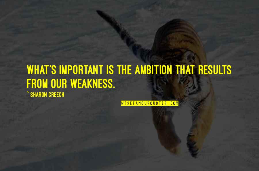 Sharon Creech Quotes By Sharon Creech: What's important is the ambition that results from