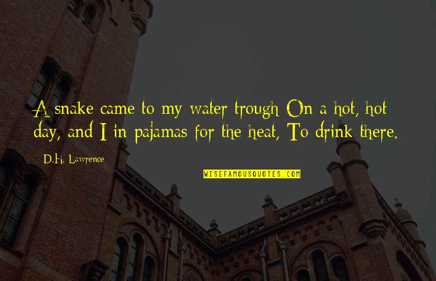 Sharon Lebell Quotes By D.H. Lawrence: A snake came to my water trough On Sharon Lebell Quotes By D.H. Lawrence: A snake came to my water trough On