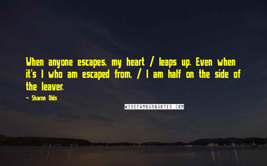 Sharon Olds quotes: When anyone escapes, my heart / leaps up. Even when it's I who am escaped from, / I am half on the side of the leaver.