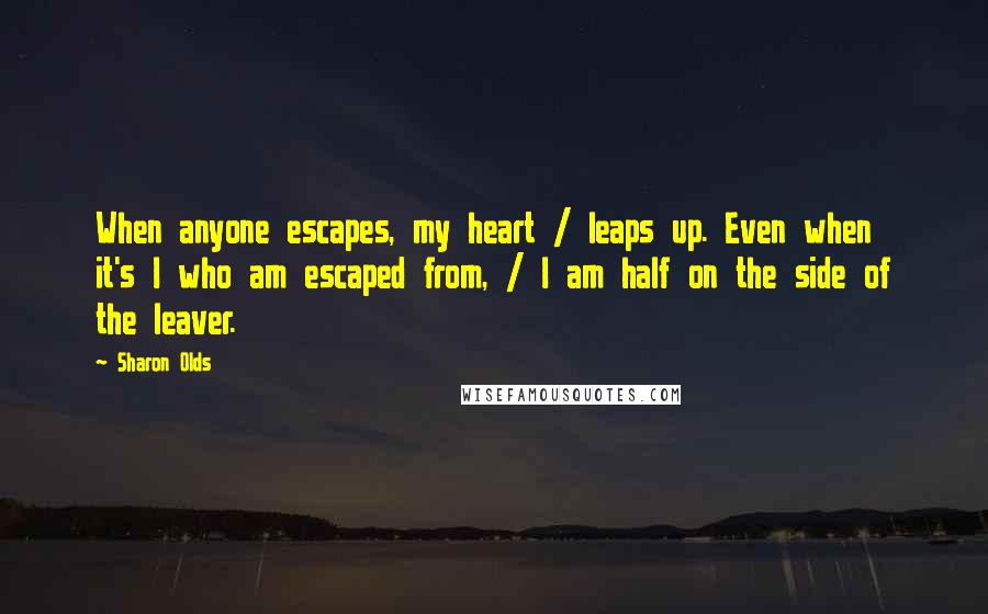 Sharon Olds quotes: When anyone escapes, my heart / leaps up. Even when it's I who am escaped from, / I am half on the side of the leaver. Sharon Olds quotes: When anyone escapes, my heart / leaps up. Even when it's I who am escaped from, / I am half on the side of the leaver.