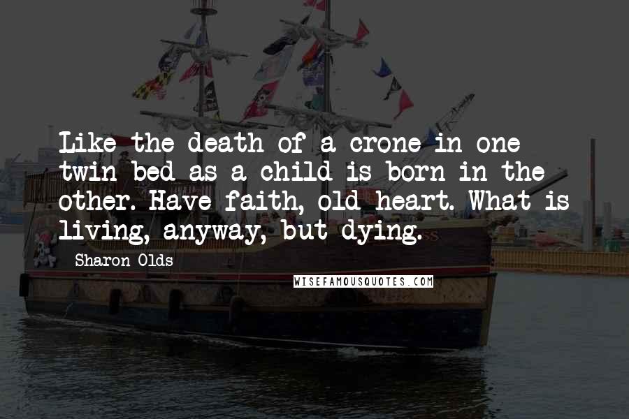 Sharon Olds quotes: Like the death of a crone in one twin bed as a child is born in the other. Have faith, old heart. What is living, anyway, but dying. Sharon Olds quotes: Like the death of a crone in one twin bed as a child is born in the other. Have faith, old heart. What is living, anyway, but dying.