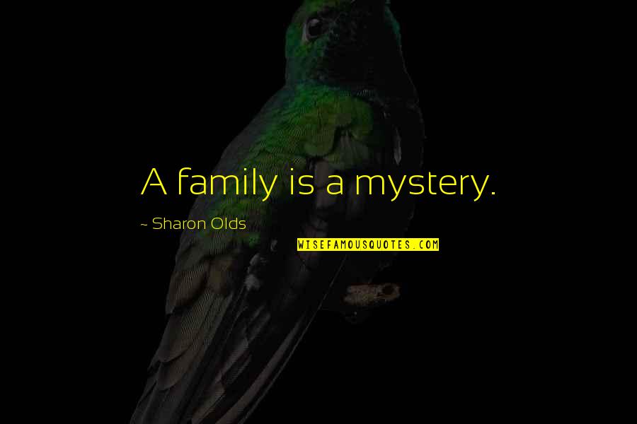 Sharon Olds Quotes By Sharon Olds: A family is a mystery.