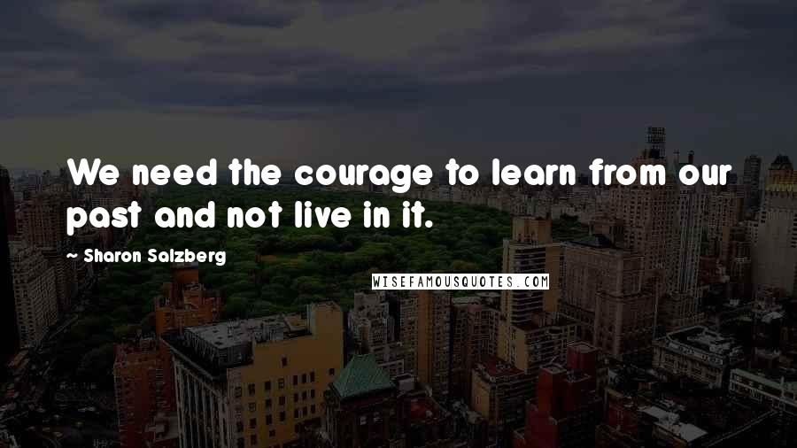 Sharon Salzberg quotes: We need the courage to learn from our past and not live in it.