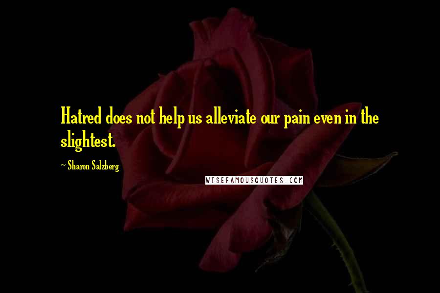 Sharon Salzberg quotes: Hatred does not help us alleviate our pain even in the slightest.