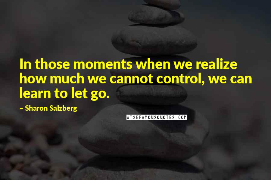 Sharon Salzberg quotes: In those moments when we realize how much we cannot control, we can learn to let go.