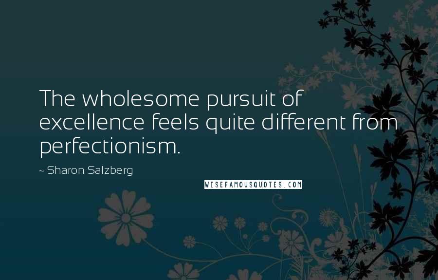 Sharon Salzberg quotes: The wholesome pursuit of excellence feels quite different from perfectionism.
