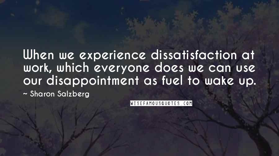 Sharon Salzberg quotes: When we experience dissatisfaction at work, which everyone does we can use our disappointment as fuel to wake up.