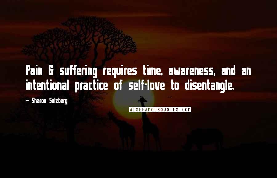 Sharon Salzberg quotes: Pain & suffering requires time, awareness, and an intentional practice of self-love to disentangle.