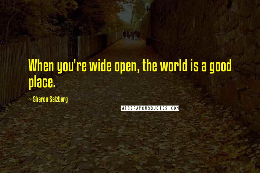 Sharon Salzberg quotes: When you're wide open, the world is a good place.