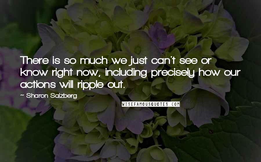 Sharon Salzberg quotes: There is so much we just can't see or know right now, including precisely how our actions will ripple out. Sharon Salzberg quotes: There is so much we just can't see or know right now, including precisely how our actions will ripple out.