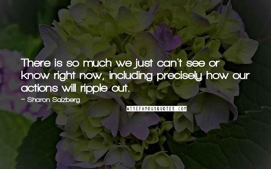 Sharon Salzberg quotes: There is so much we just can't see or know right now, including precisely how our actions will ripple out.