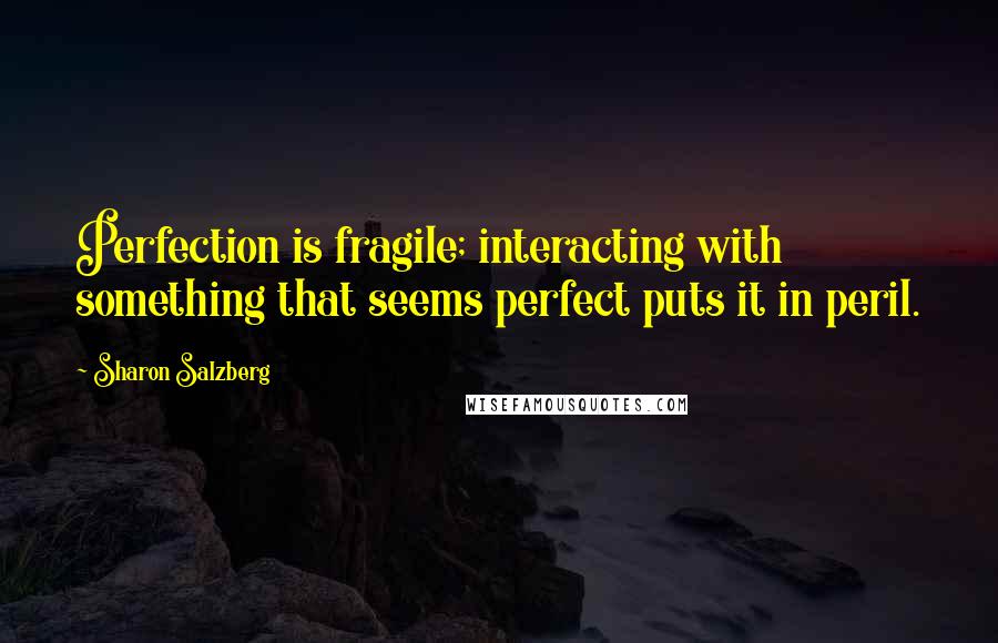 Sharon Salzberg quotes: Perfection is fragile; interacting with something that seems perfect puts it in peril.