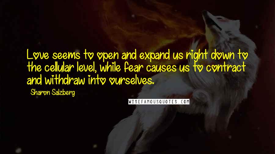 Sharon Salzberg quotes: Love seems to open and expand us right down to the cellular level, while fear causes us to contract and withdraw into ourselves. Sharon Salzberg quotes: Love seems to open and expand us right down to the cellular level, while fear causes us to contract and withdraw into ourselves.