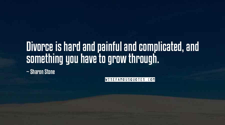 Sharon Stone quotes: Divorce is hard and painful and complicated, and something you have to grow through.