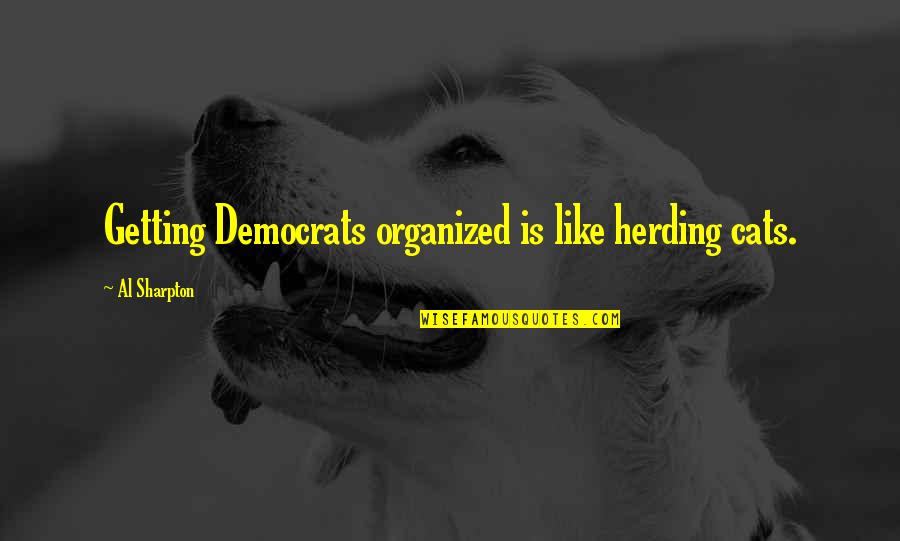 Sharpton Quotes By Al Sharpton: Getting Democrats organized is like herding cats.