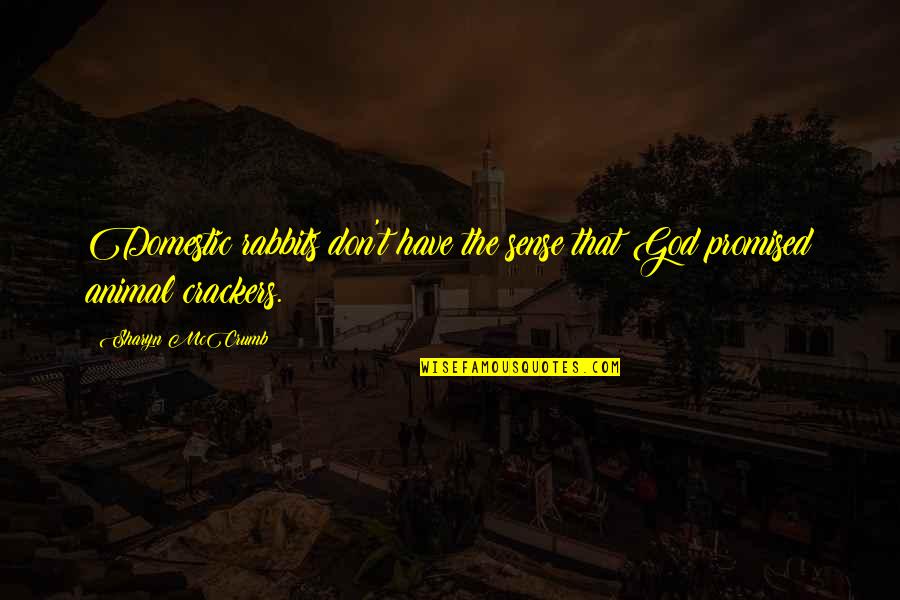 Sharyn Quotes By Sharyn McCrumb: Domestic rabbits don't have the sense that God