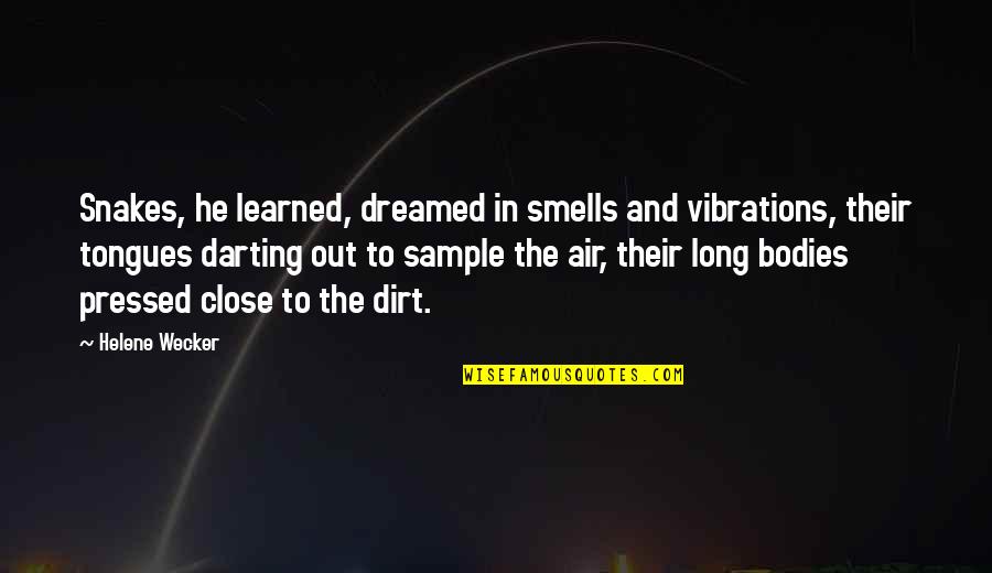 Shatner Airplane 2 Quotes By Helene Wecker: Snakes, he learned, dreamed in smells and vibrations, Shatner Airplane 2 Quotes By Helene Wecker: Snakes, he learned, dreamed in smells and vibrations,
