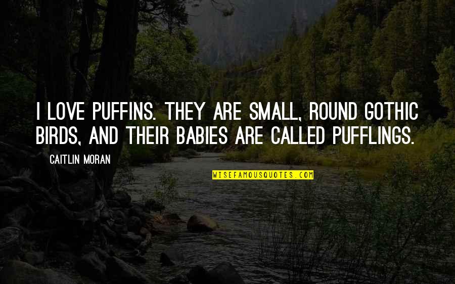 Shatunov Bielyje Quotes By Caitlin Moran: I love puffins. They are small, round gothic Shatunov Bielyje Quotes By Caitlin Moran: I love puffins. They are small, round gothic