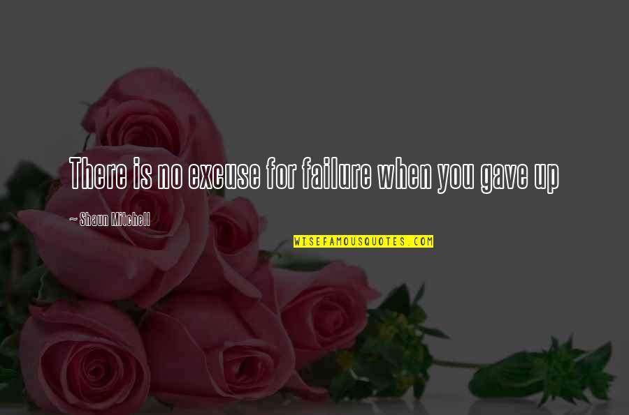 Shaun T Motivational Quotes By Shaun Mitchell: There is no excuse for failure when you Shaun T Motivational Quotes By Shaun Mitchell: There is no excuse for failure when you