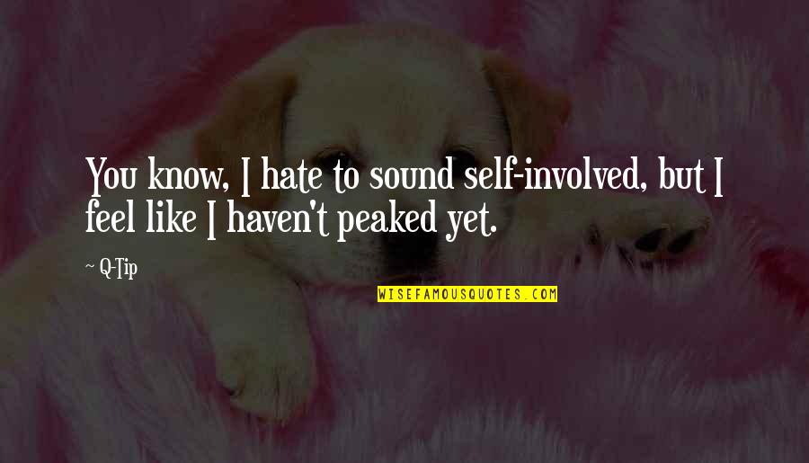 Shawano County Wi Quotes By Q-Tip: You know, I hate to sound self-involved, but