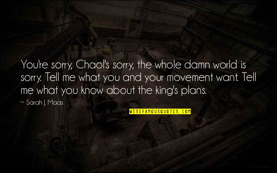Shawlinaball Quotes By Sarah J. Maas: You're sorry, Chaol's sorry, the whole damn world