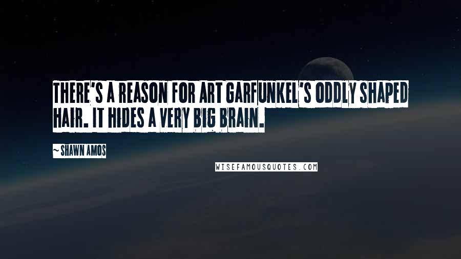 Shawn Amos quotes: There's a reason for Art Garfunkel's oddly shaped hair. It hides a very big brain.