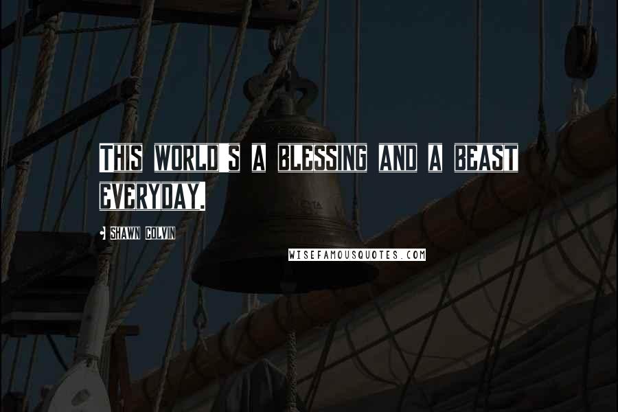 Shawn Colvin quotes: This world's a blessing and a beast everyday.