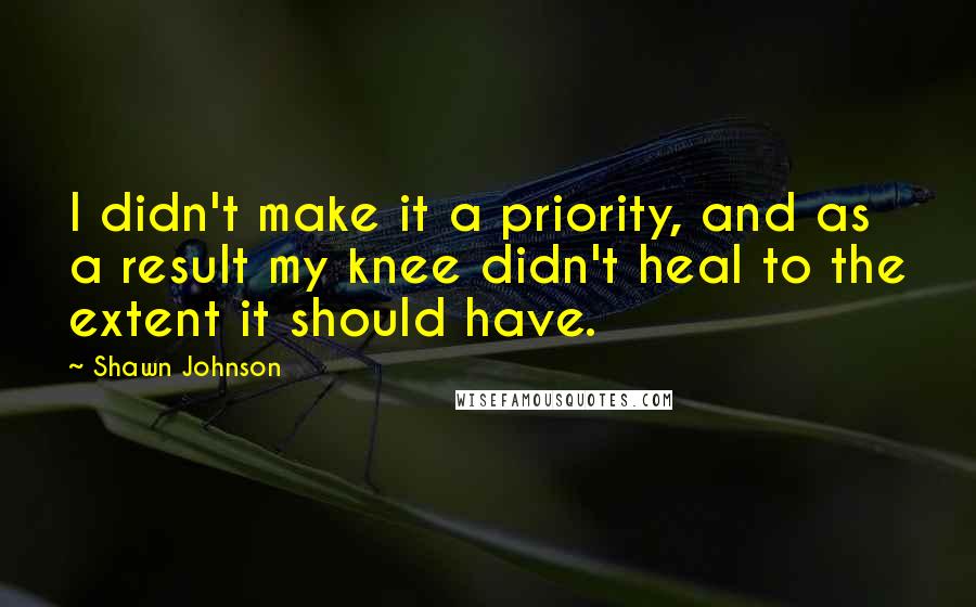 Shawn Johnson quotes: I didn't make it a priority, and as a result my knee didn't heal to the extent it should have.