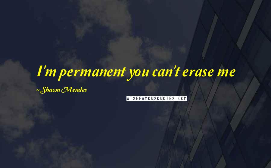 Shawn Mendes quotes: I'm permanent you can't erase me