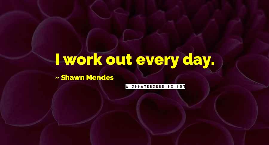 Shawn Mendes quotes: I work out every day.