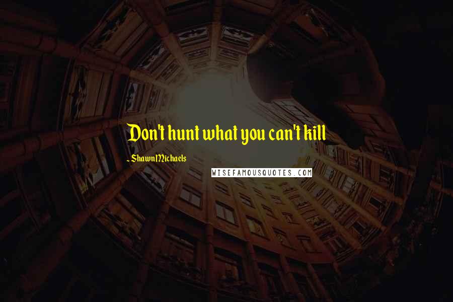 Shawn Michaels quotes: Don't hunt what you can't kill