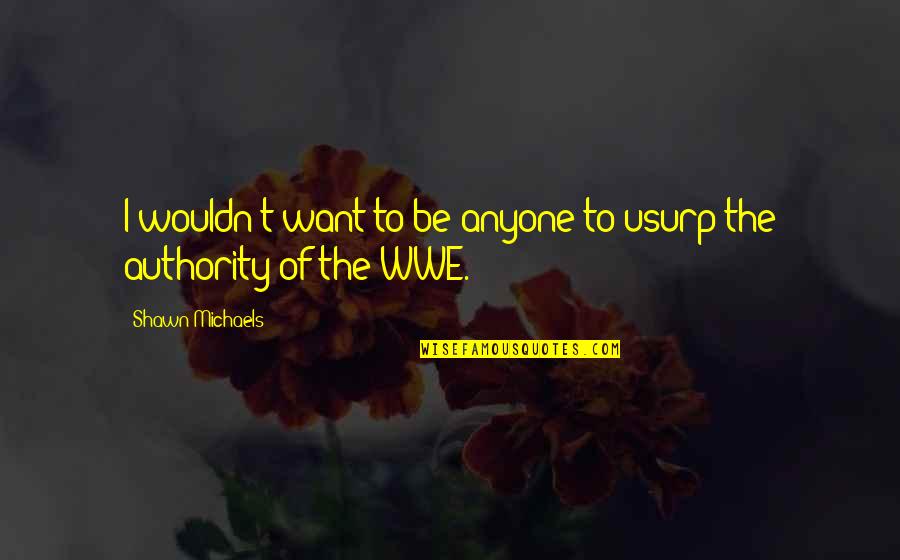 Shawn Michaels Quotes By Shawn Michaels: I wouldn't want to be anyone to usurp