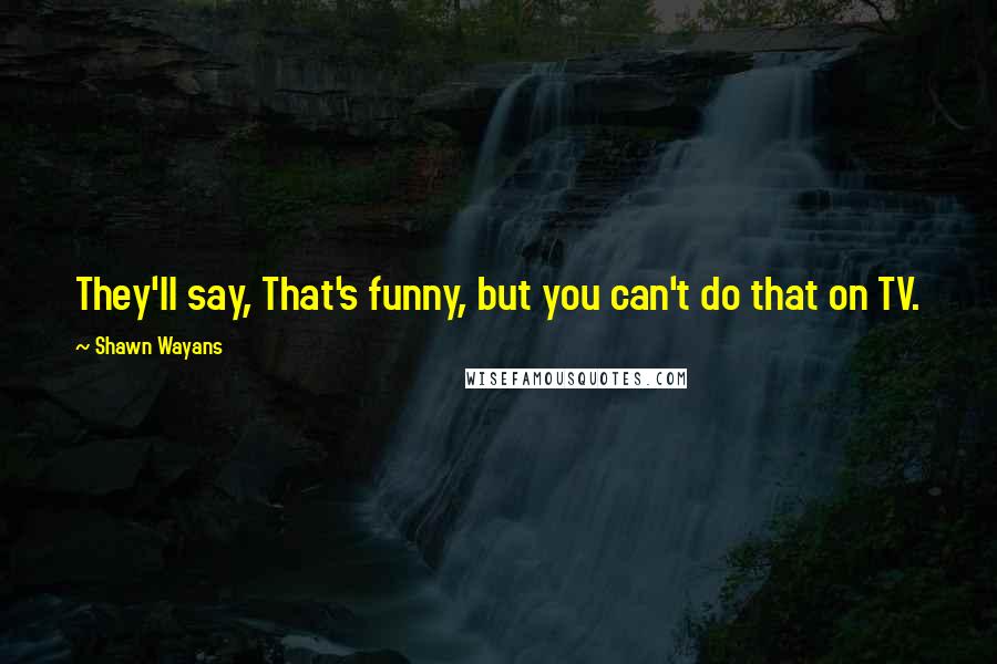 Shawn Wayans quotes: They'll say, That's funny, but you can't do that on TV.