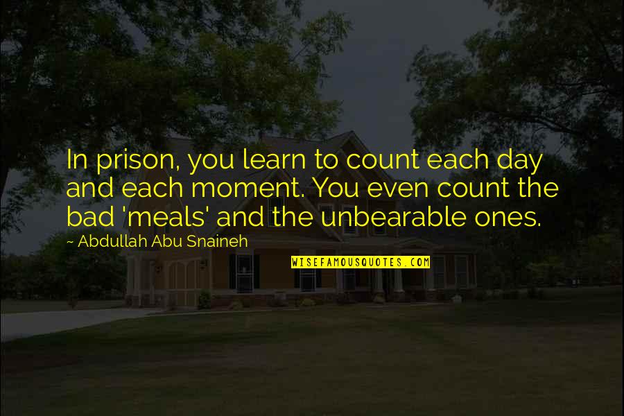 Shayani Cailleteau Quotes By Abdullah Abu Snaineh: In prison, you learn to count each day