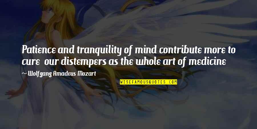 Shaykh Zulfiqar Ahmad Quotes By Wolfgang Amadeus Mozart: Patience and tranquility of mind contribute more to