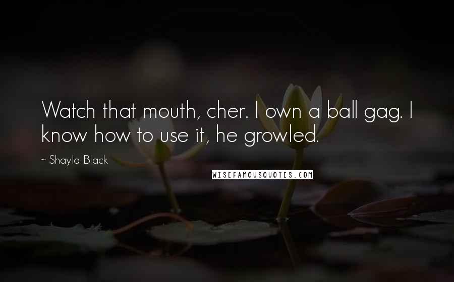Shayla Black quotes: Watch that mouth, cher. I own a ball gag. I know how to use it, he growled.