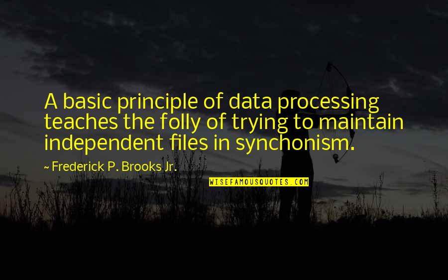 Shaylen Name Quotes By Frederick P. Brooks Jr.: A basic principle of data processing teaches the